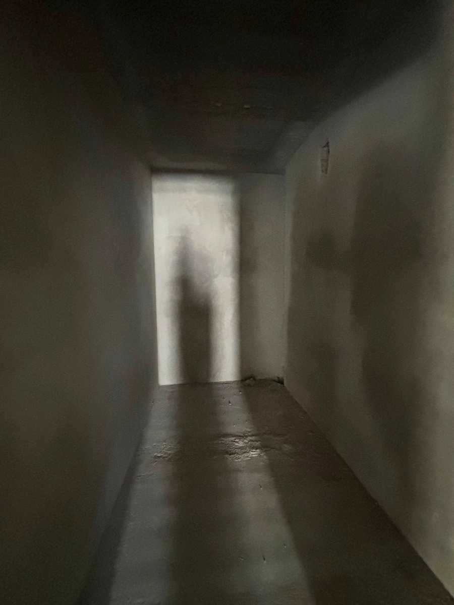 1878841698088164