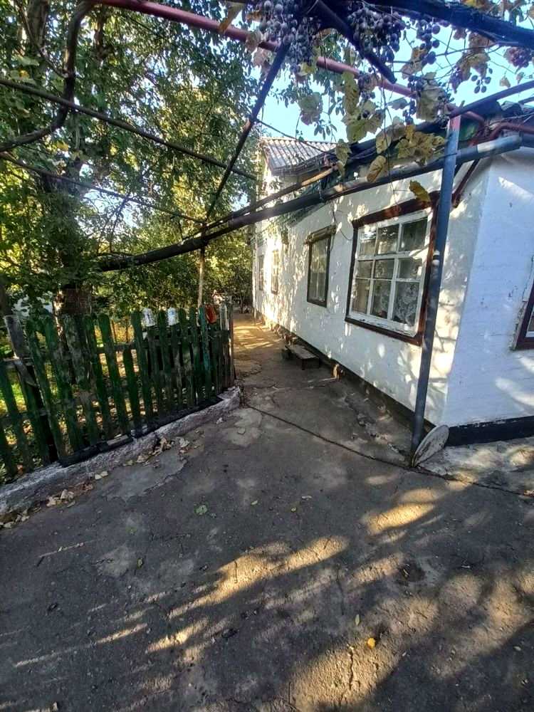 1878844357160449