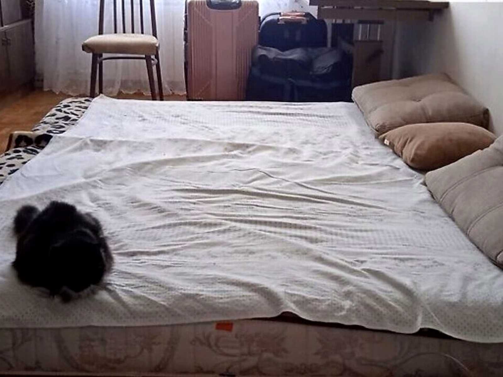 1878848353766183