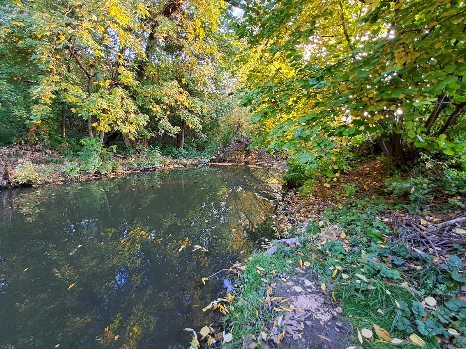 1878850725603685.jpg