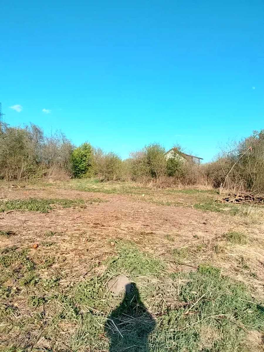 1878850764714717.jpg