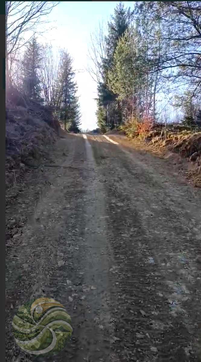1878851561733258