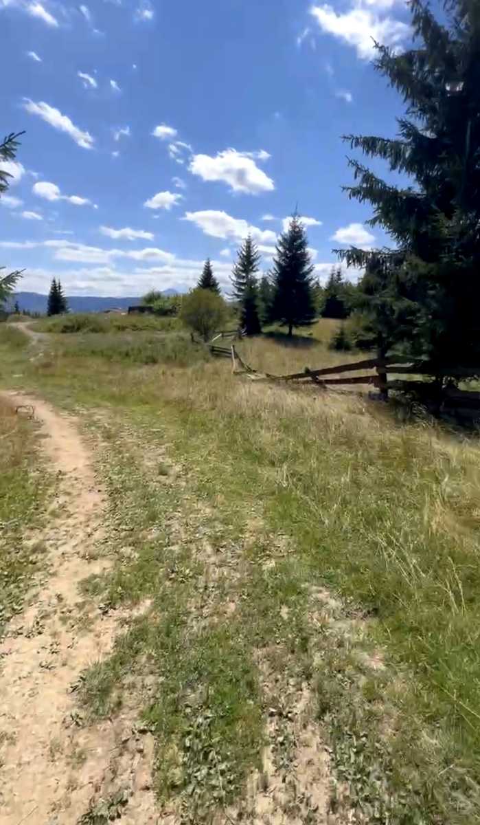 1878913298371501