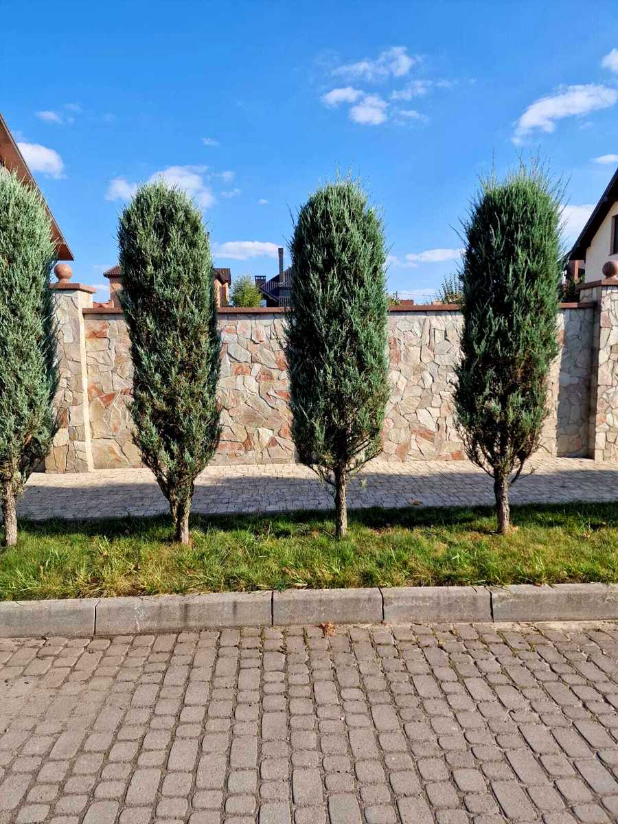 1878918039146898