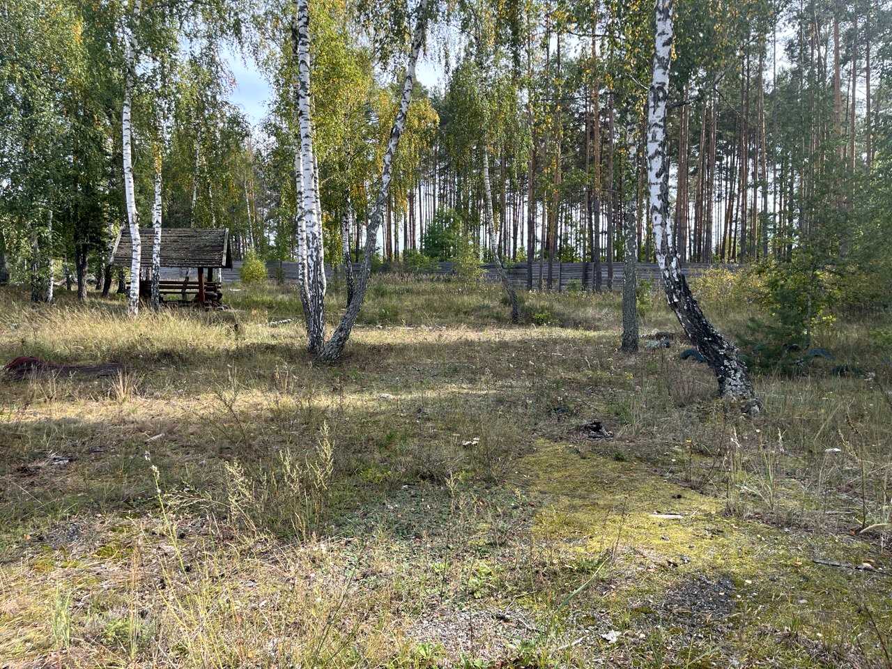1878931351377603