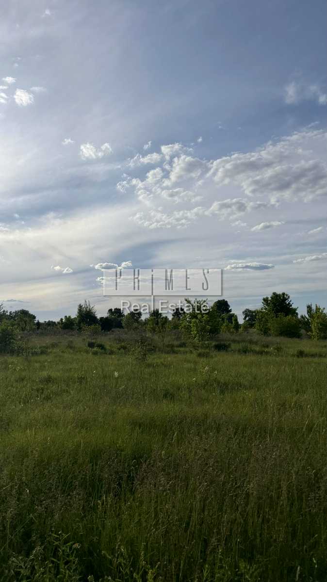 1878937475105335