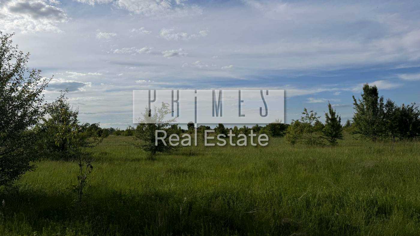 1878937476241916