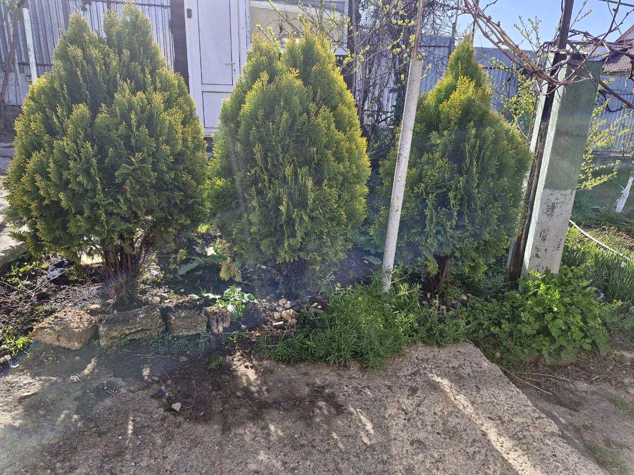 Дом по адресу (площадь 58 м²) - imageAlt 2 Дом по адресу (площадь 58 м²) - Atlanta.ua - imageAlt 2