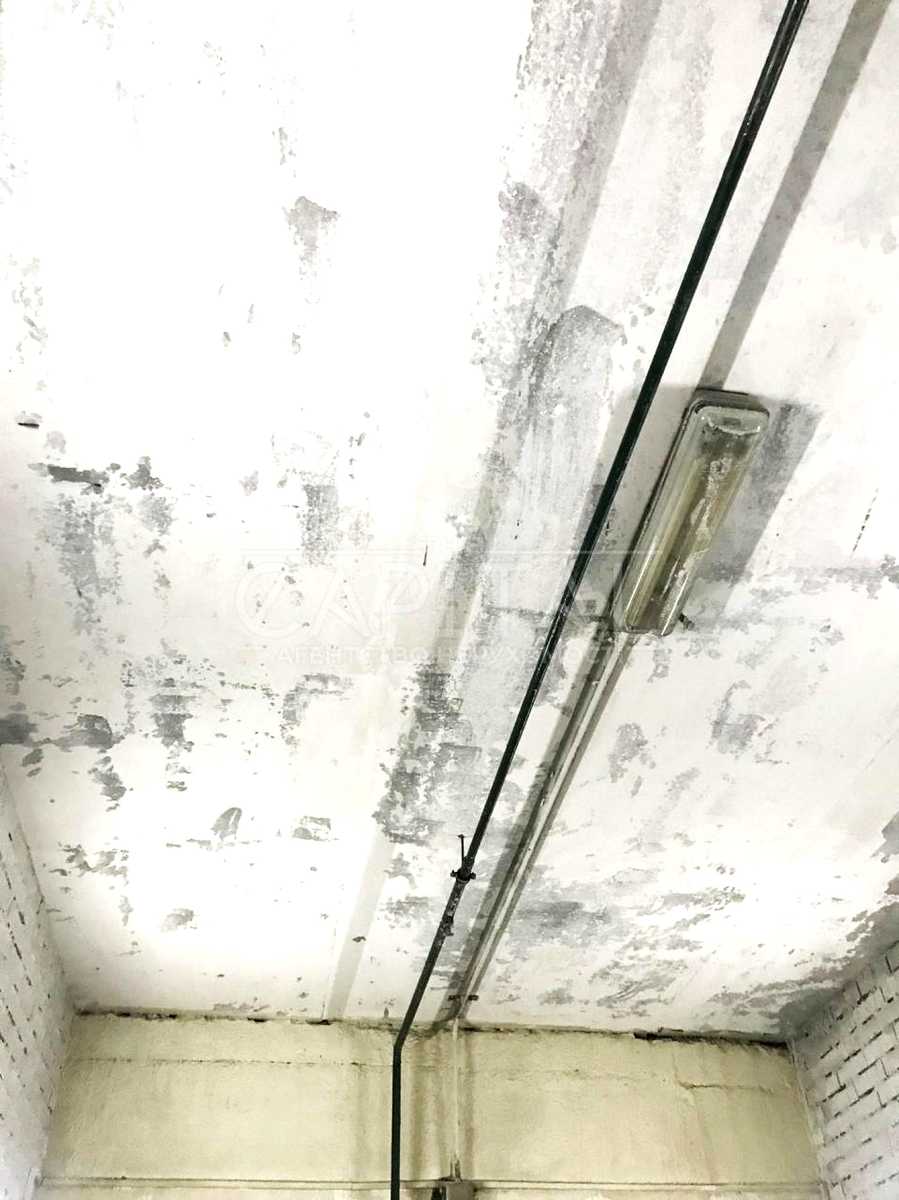 1879009751416342