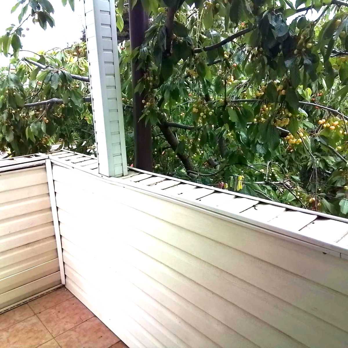 1879035759386688