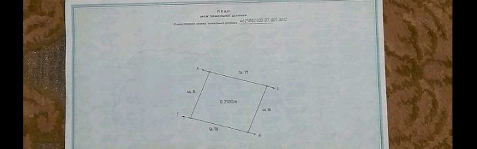 1879042619644162.jpg