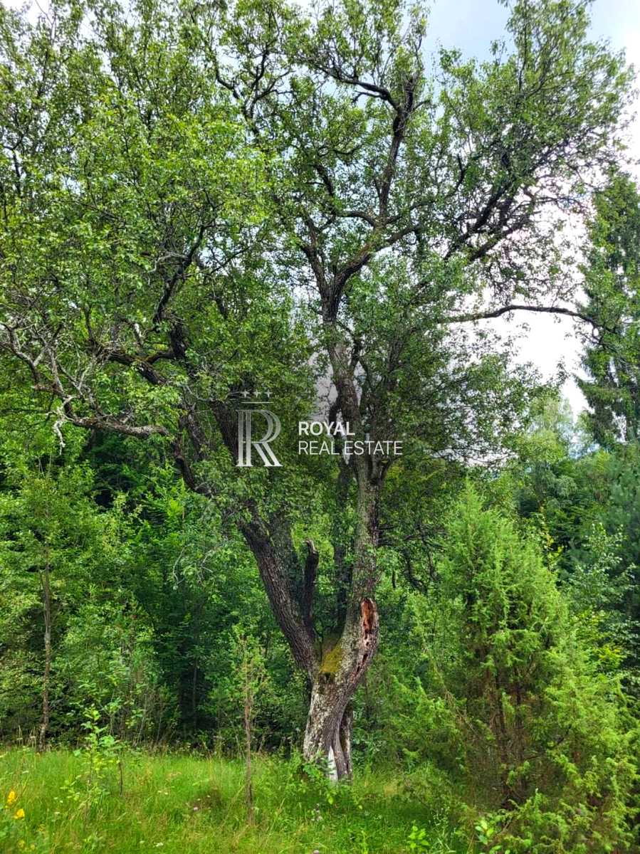 1879060958176795
