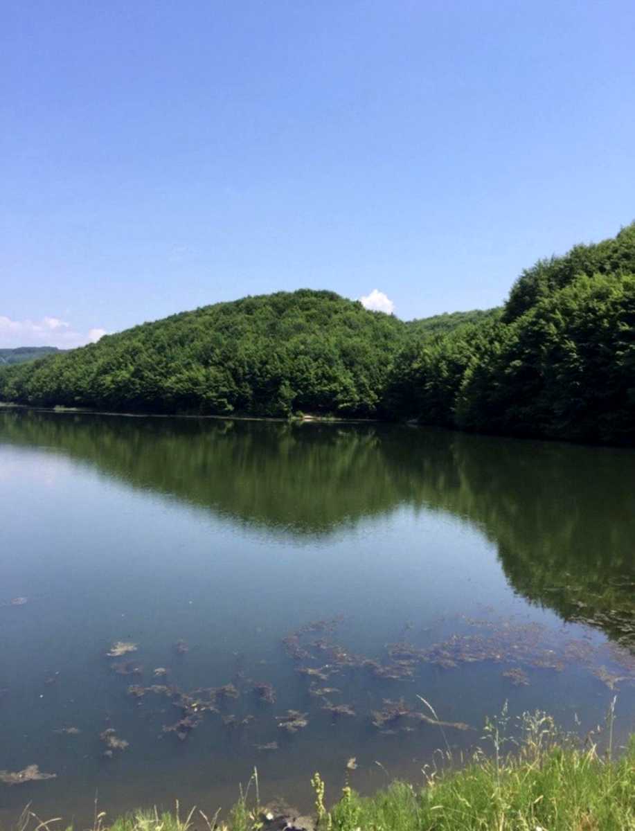 1879107346475271