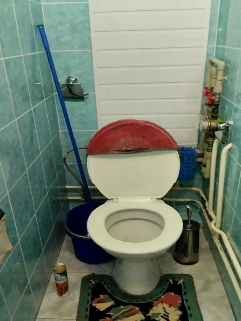 1879109491798257