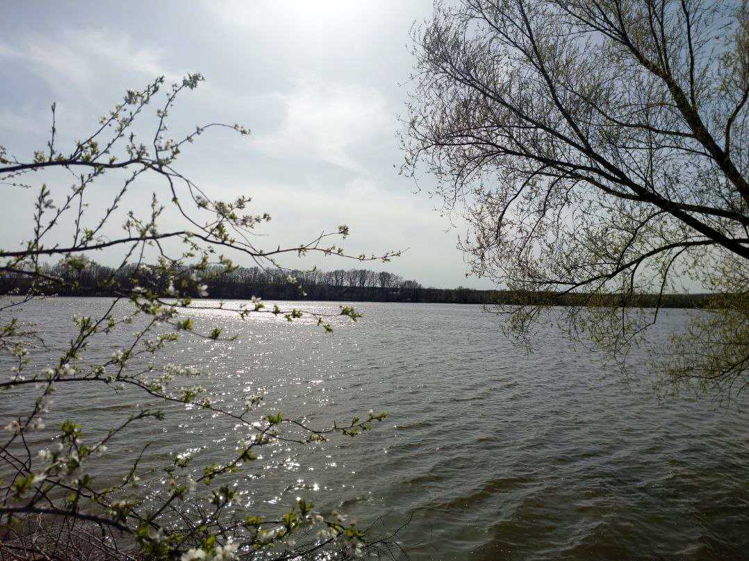 1879119757361440
