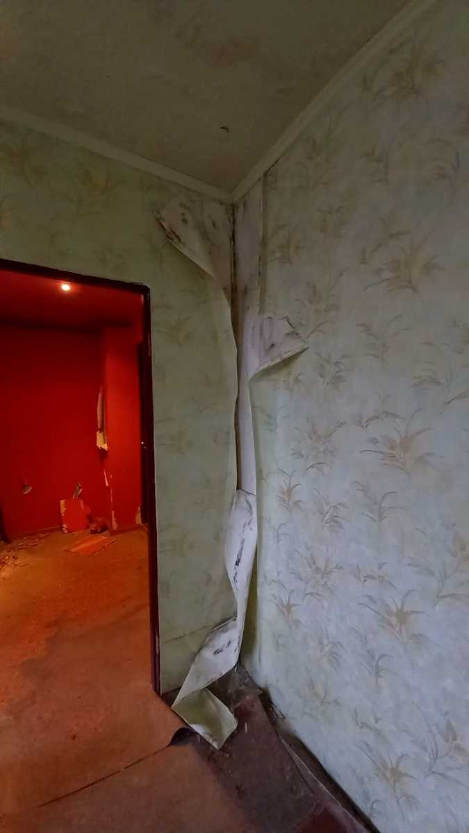 1879205737634989