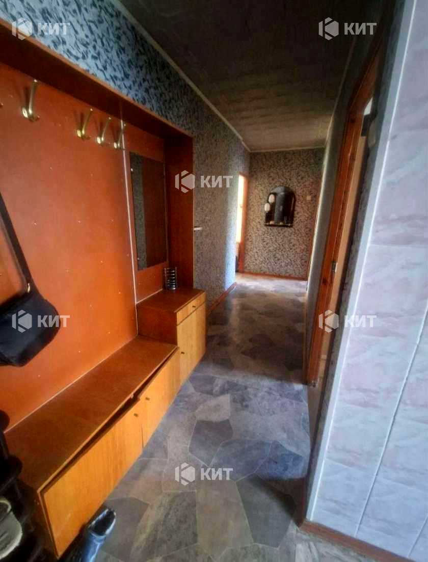 1879208045038626