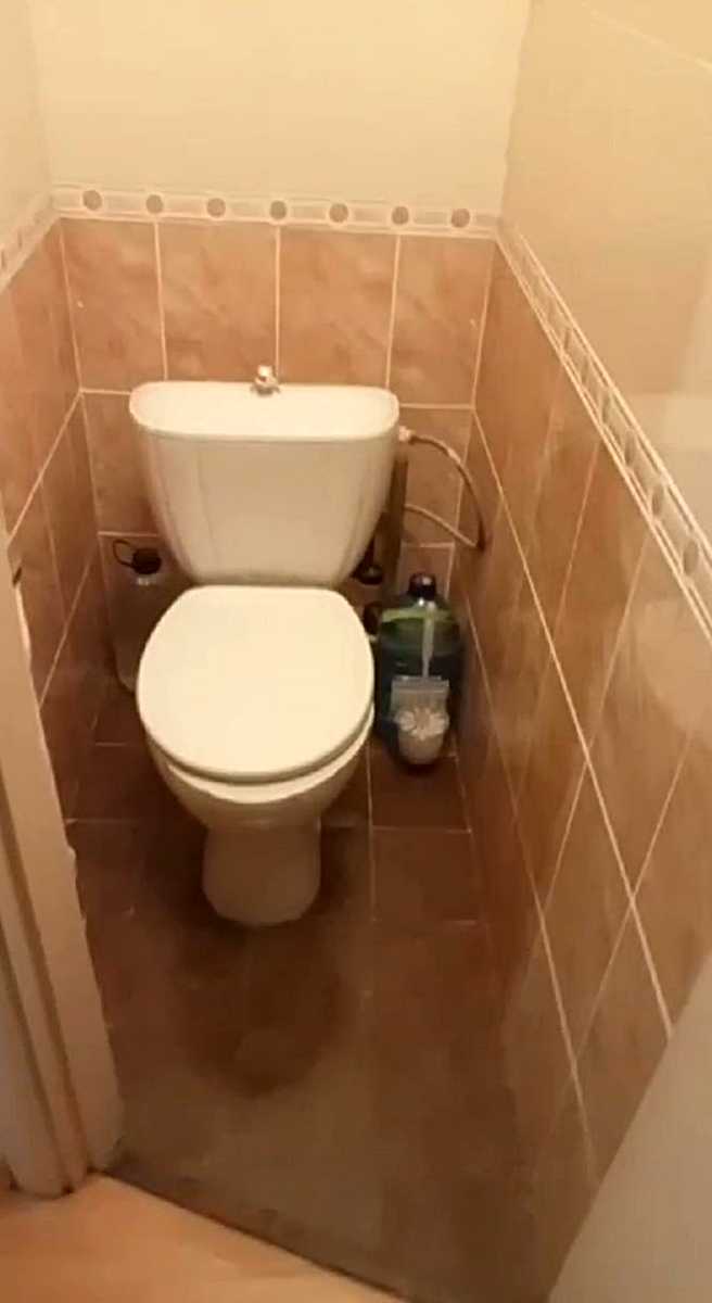 1879219416105951