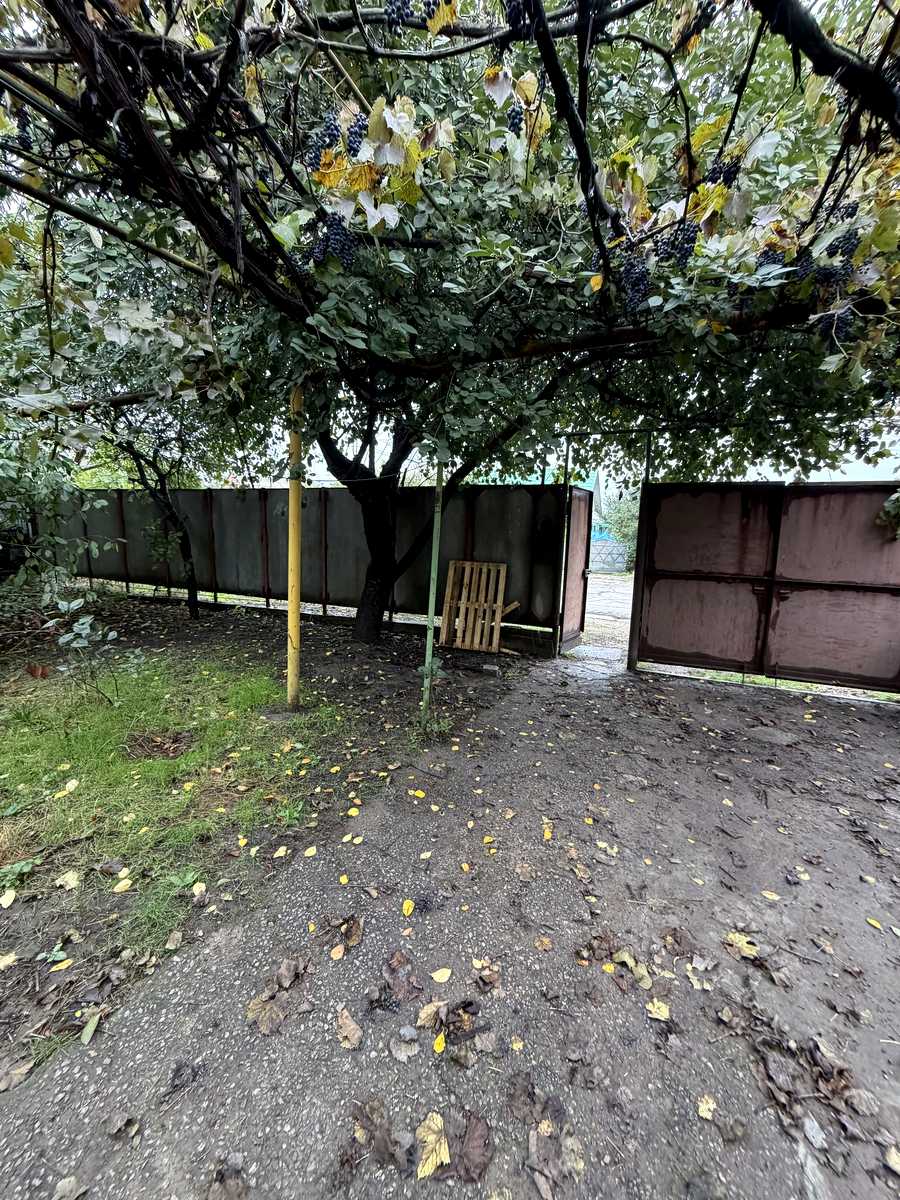 1879229287839520