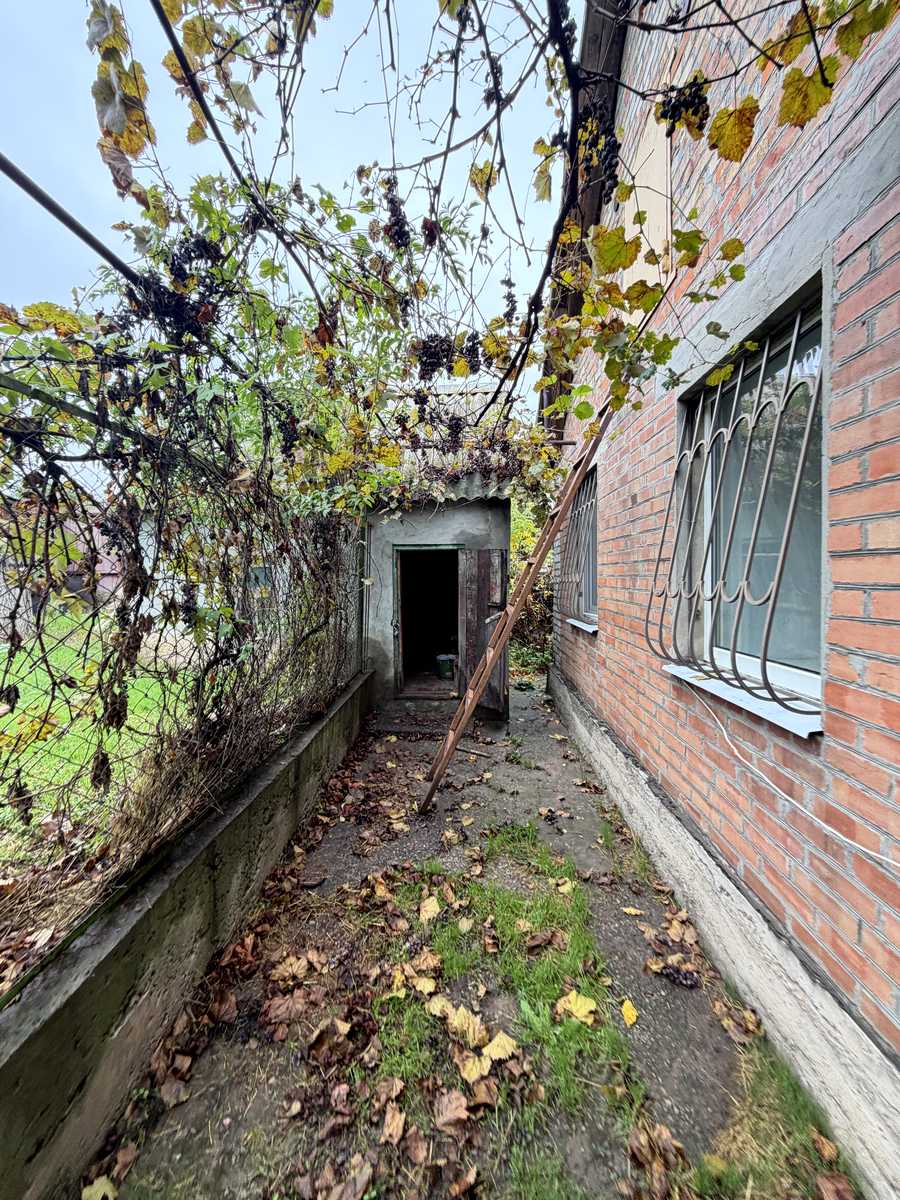 1879229300187038