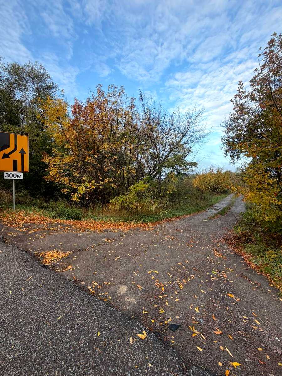 1879297221056241