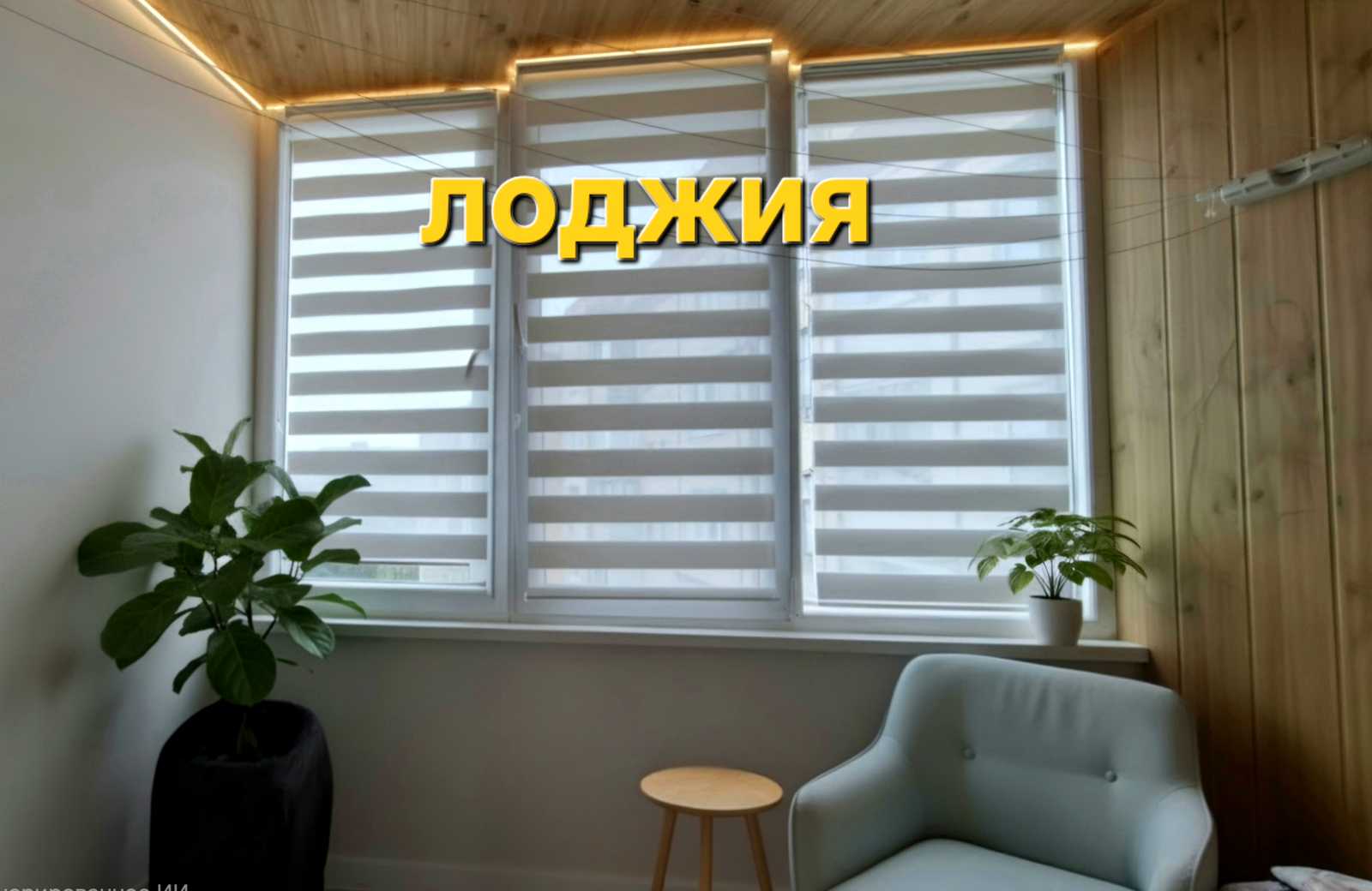 1879331495348726