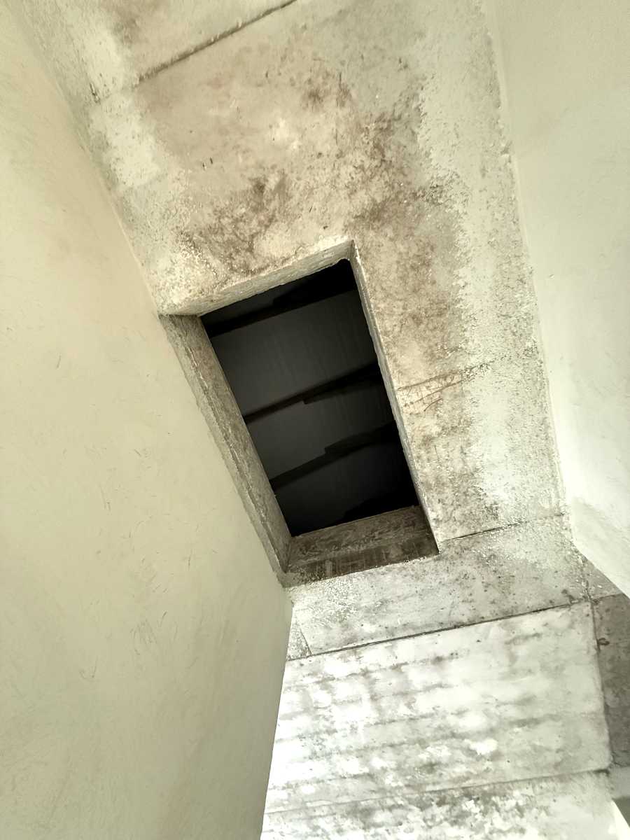 1879417152846502
