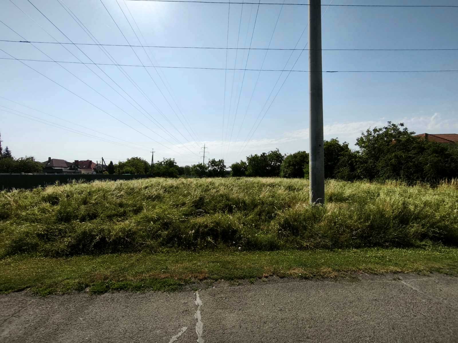 1879465479581918