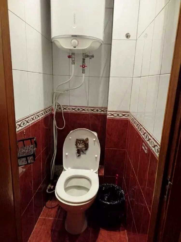 1879472465687260