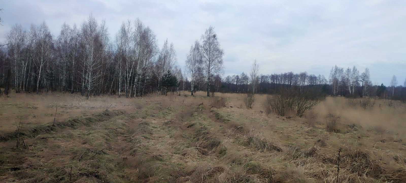1879478917820893