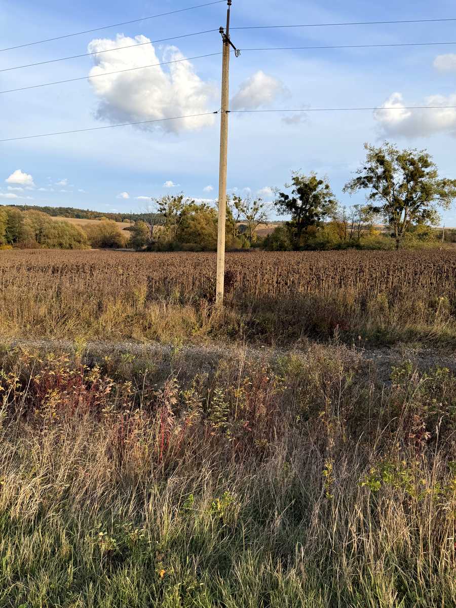 1879484268276545