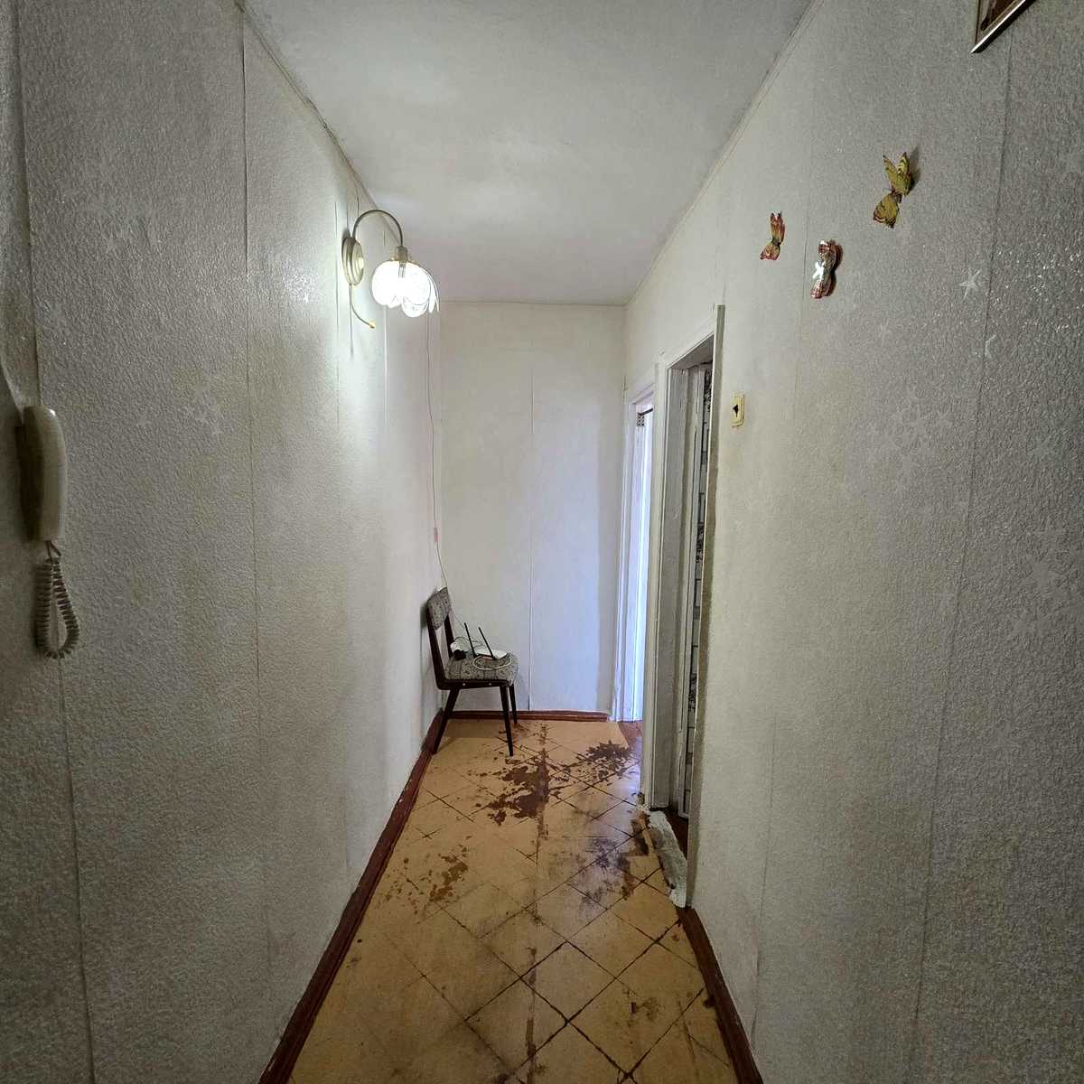 1879506403615629