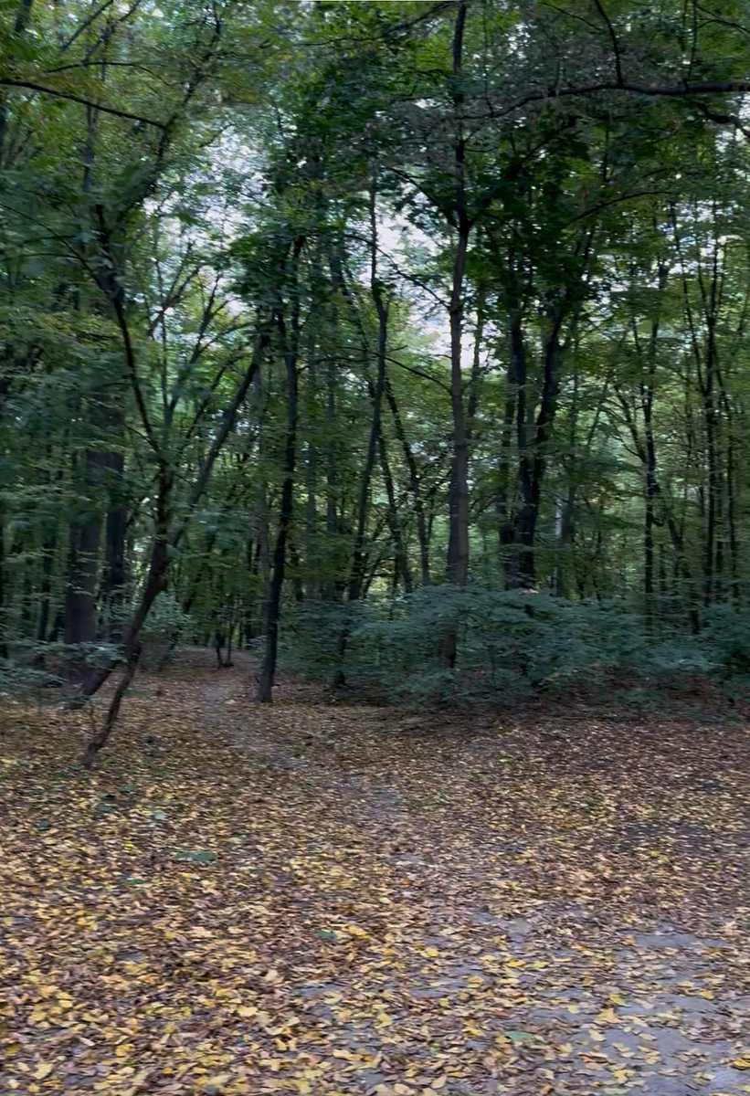 1879508903667871