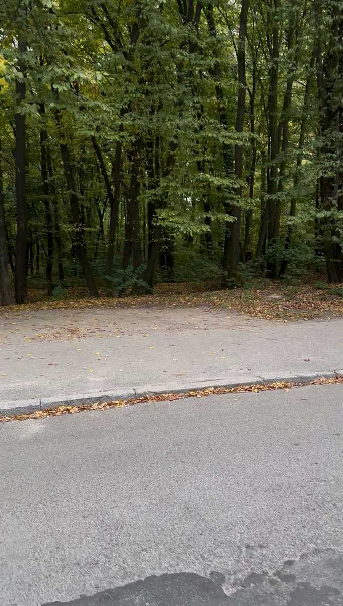 1879508903686193