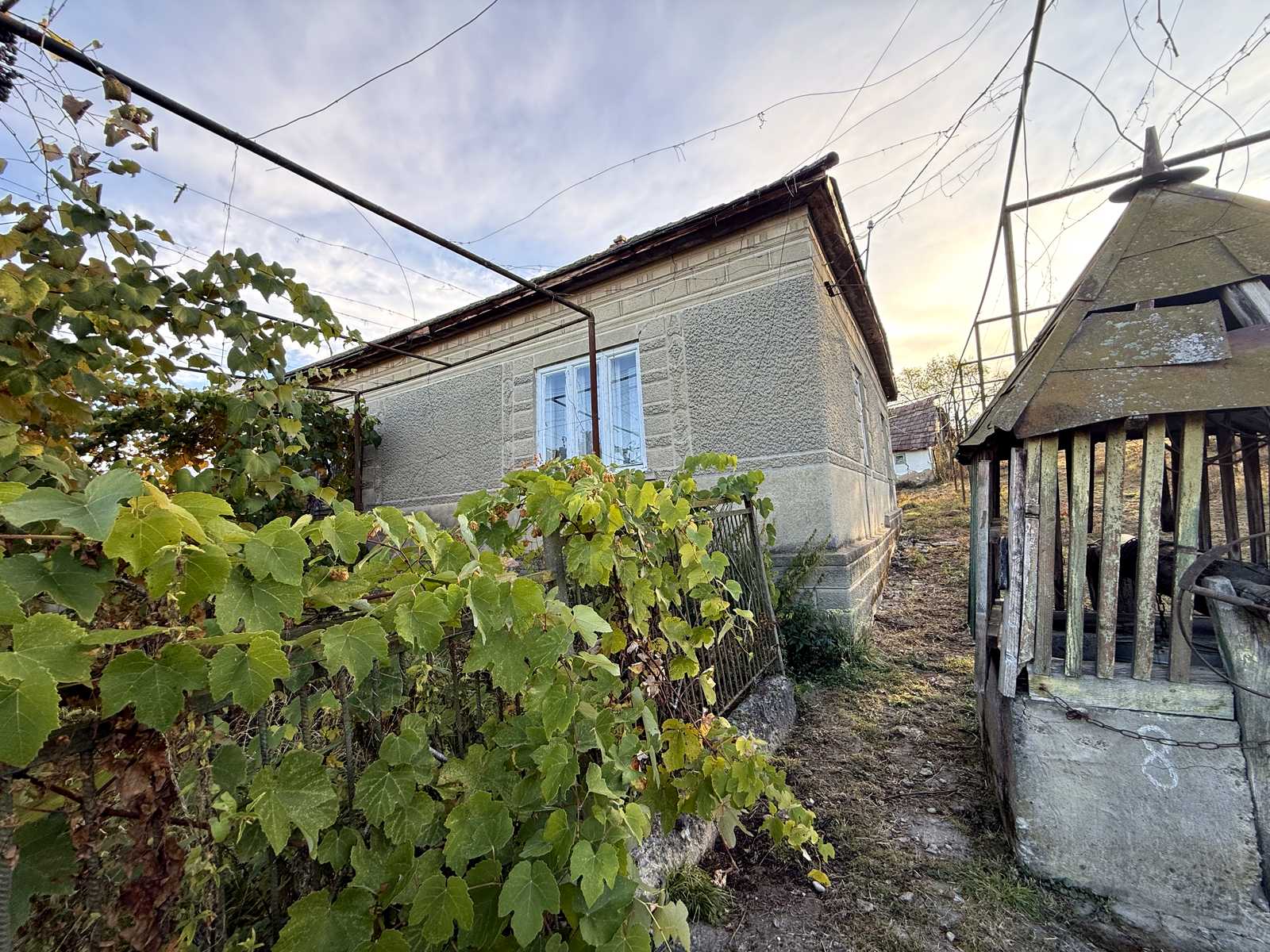 1879557561041036