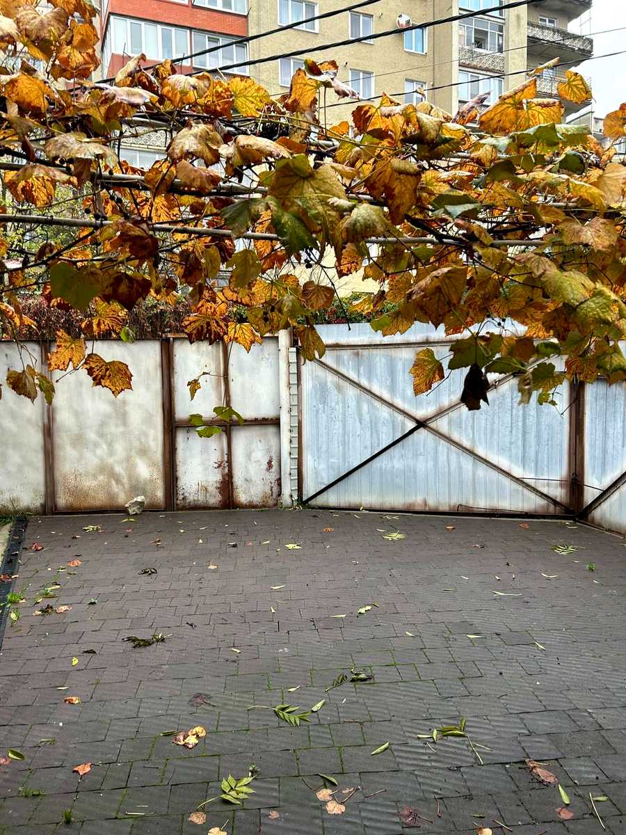 1879558579197249