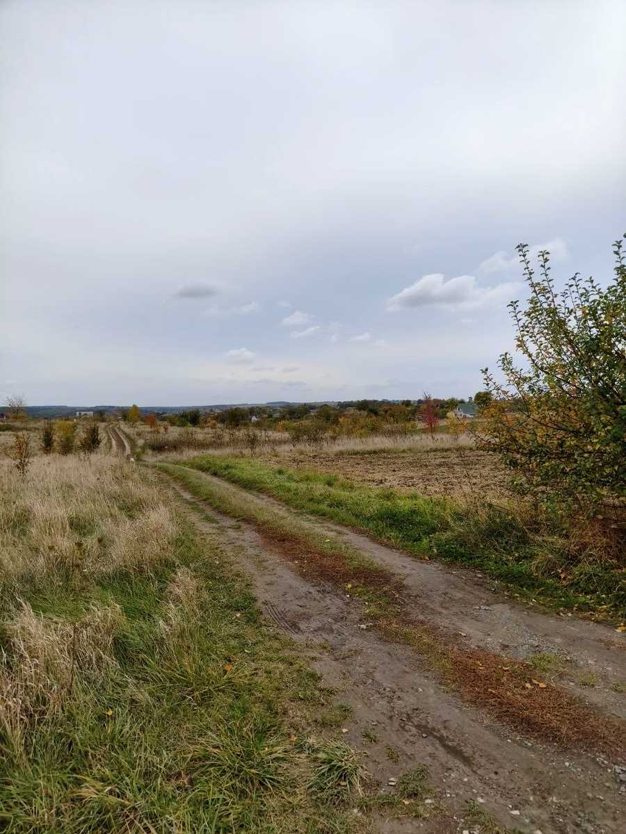 1879575311676356
