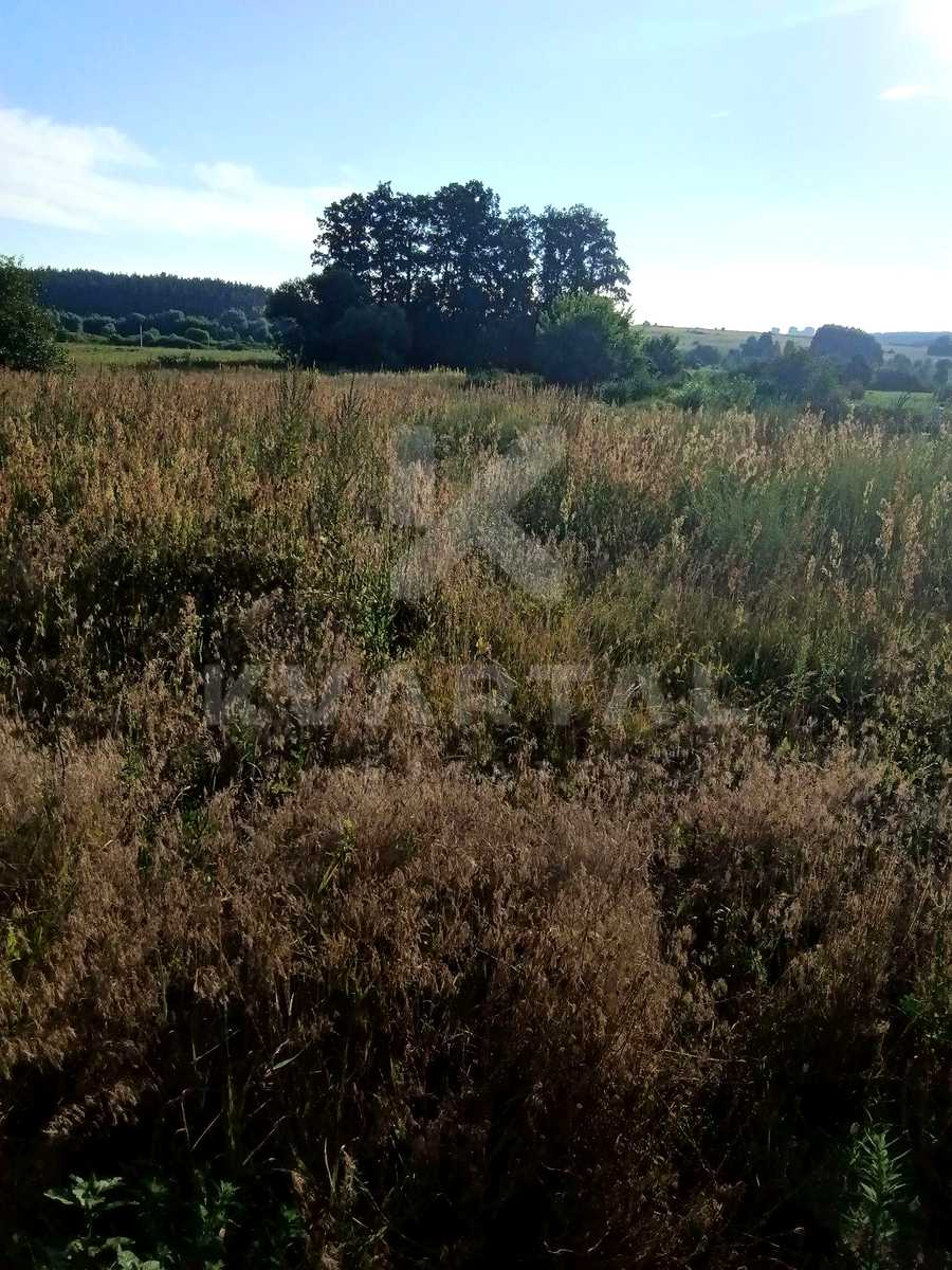 1879578073121354