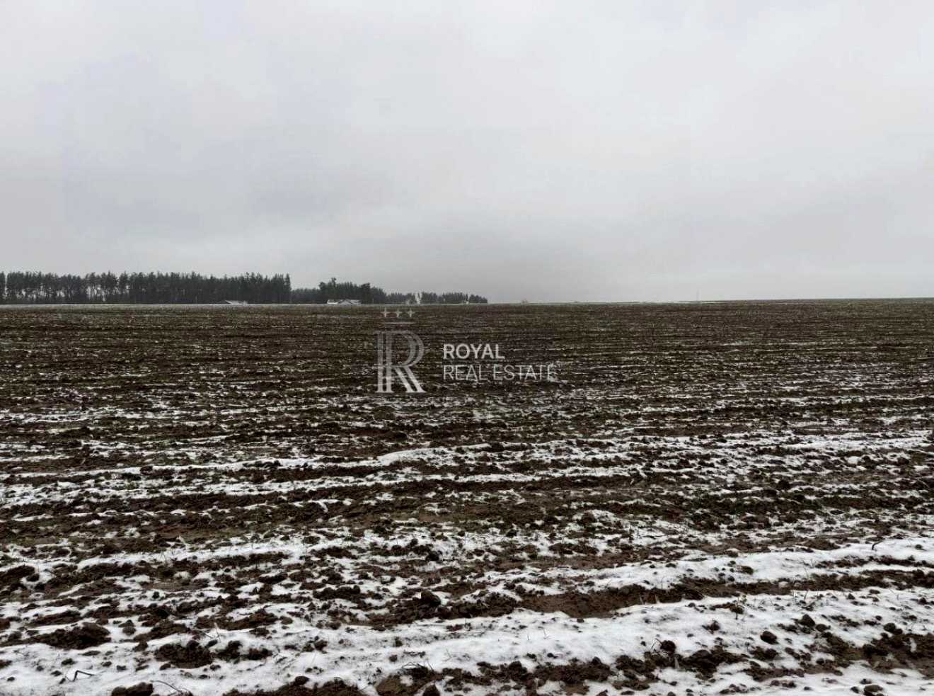 1879592210861035