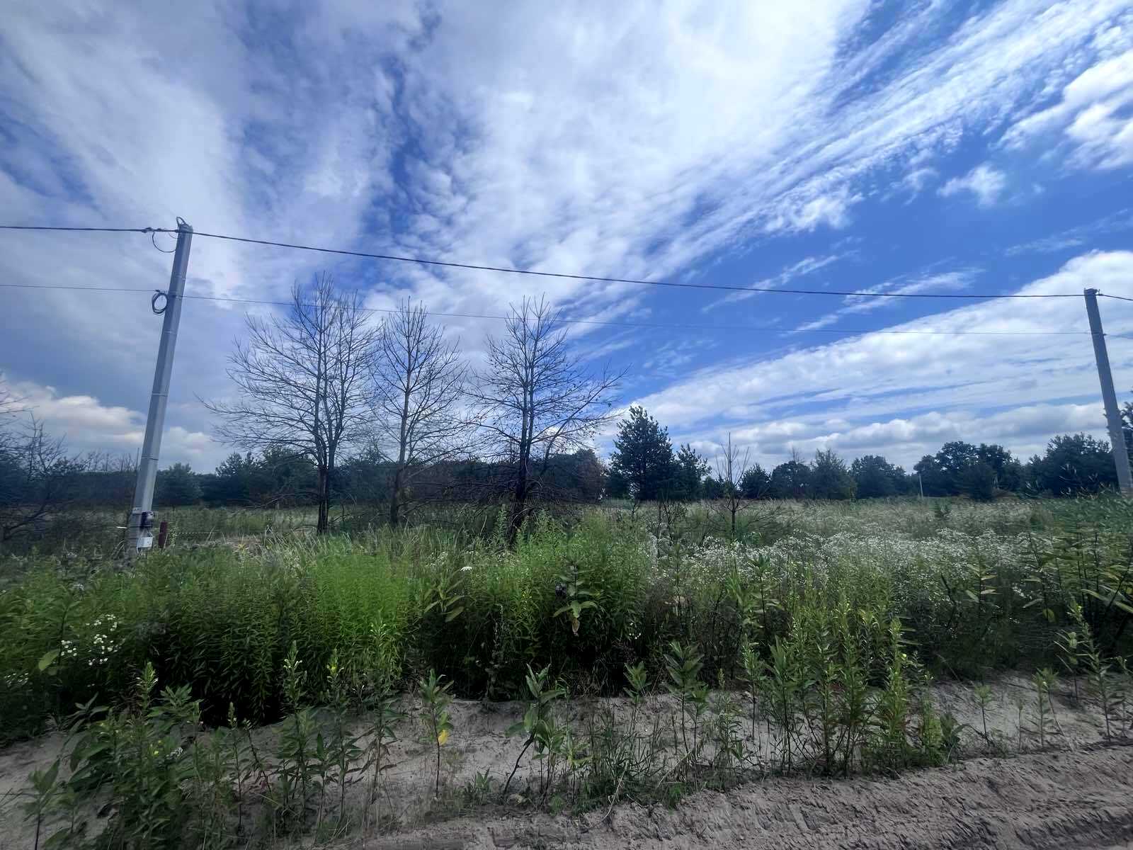 1879638416702547