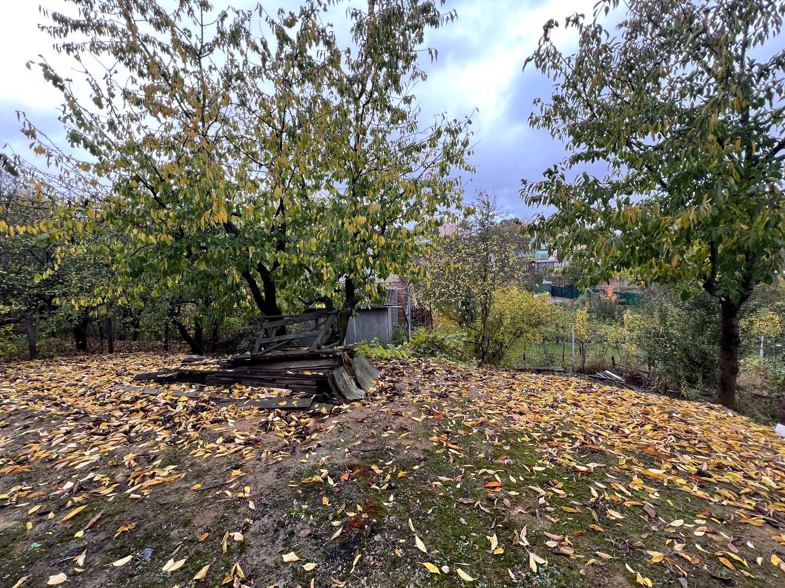 1879646443419621