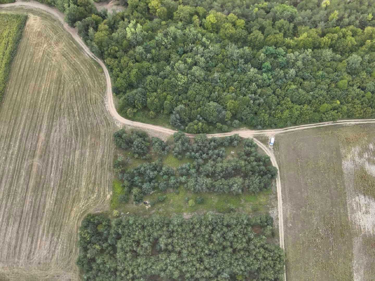 1879647246894229