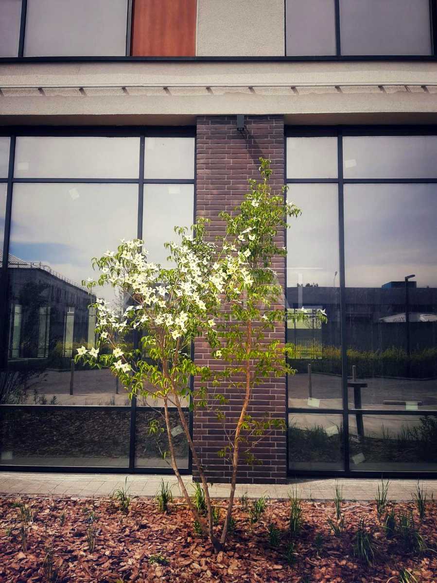 1879649248958658