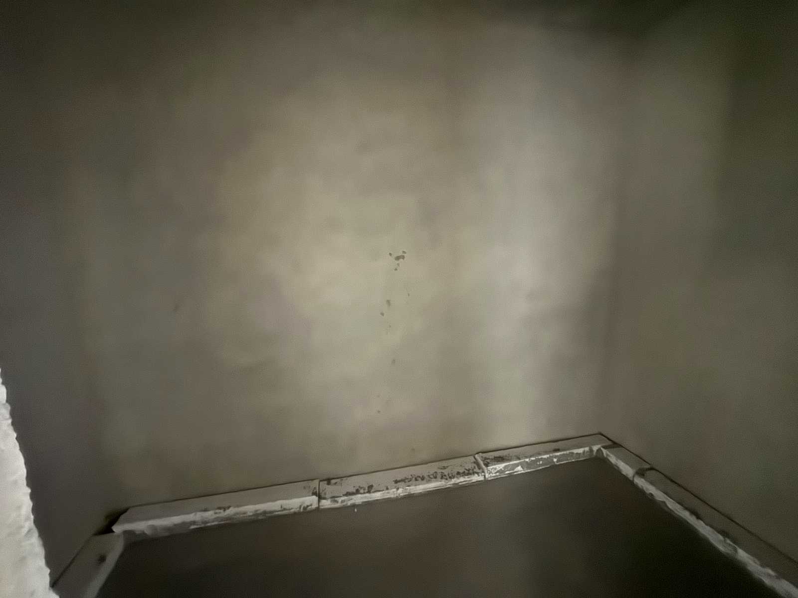 1879668365656765