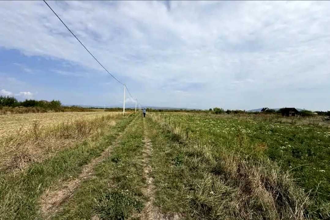 1879671112795091
