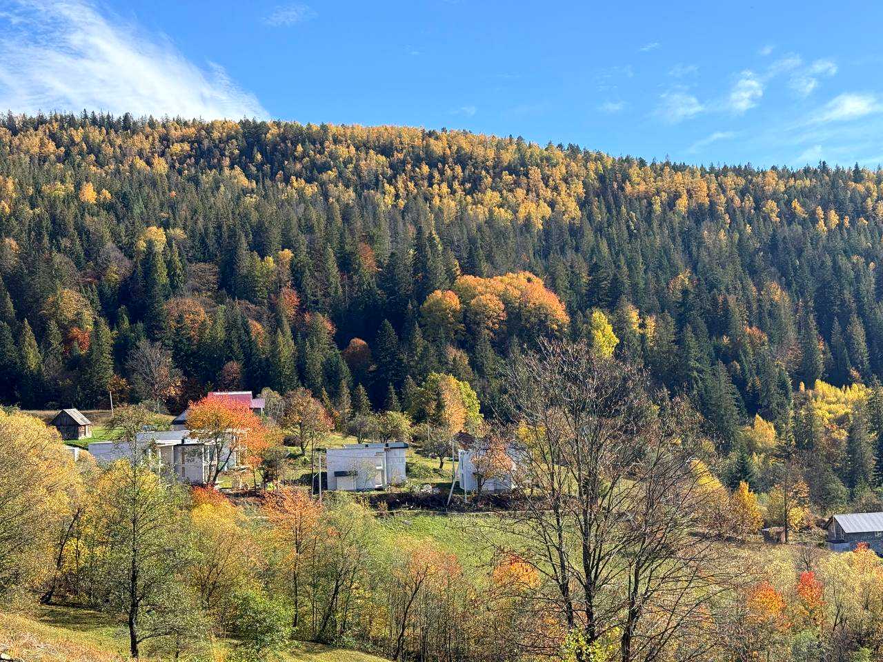 1879677945445737
