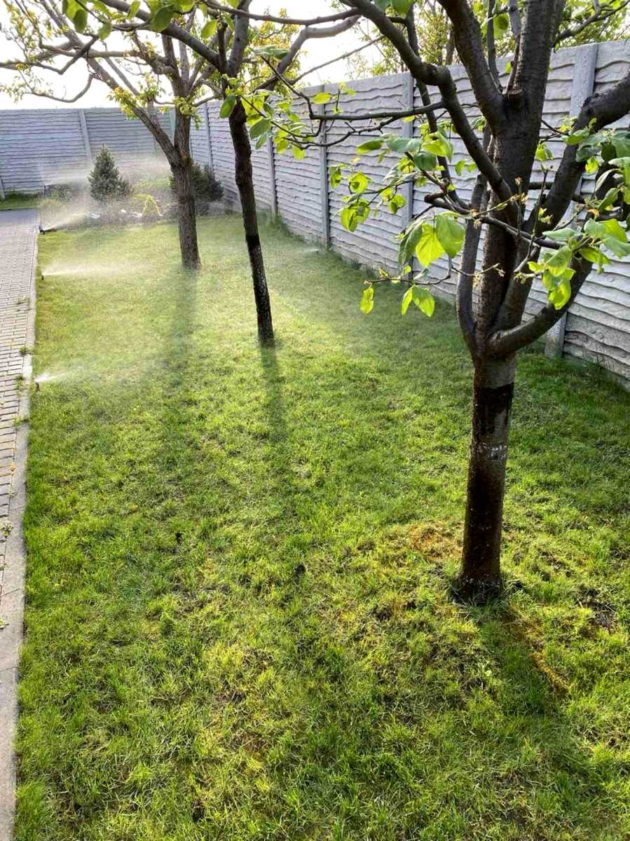 1879730934575777