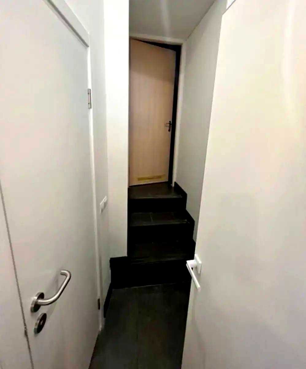 1879734741359511