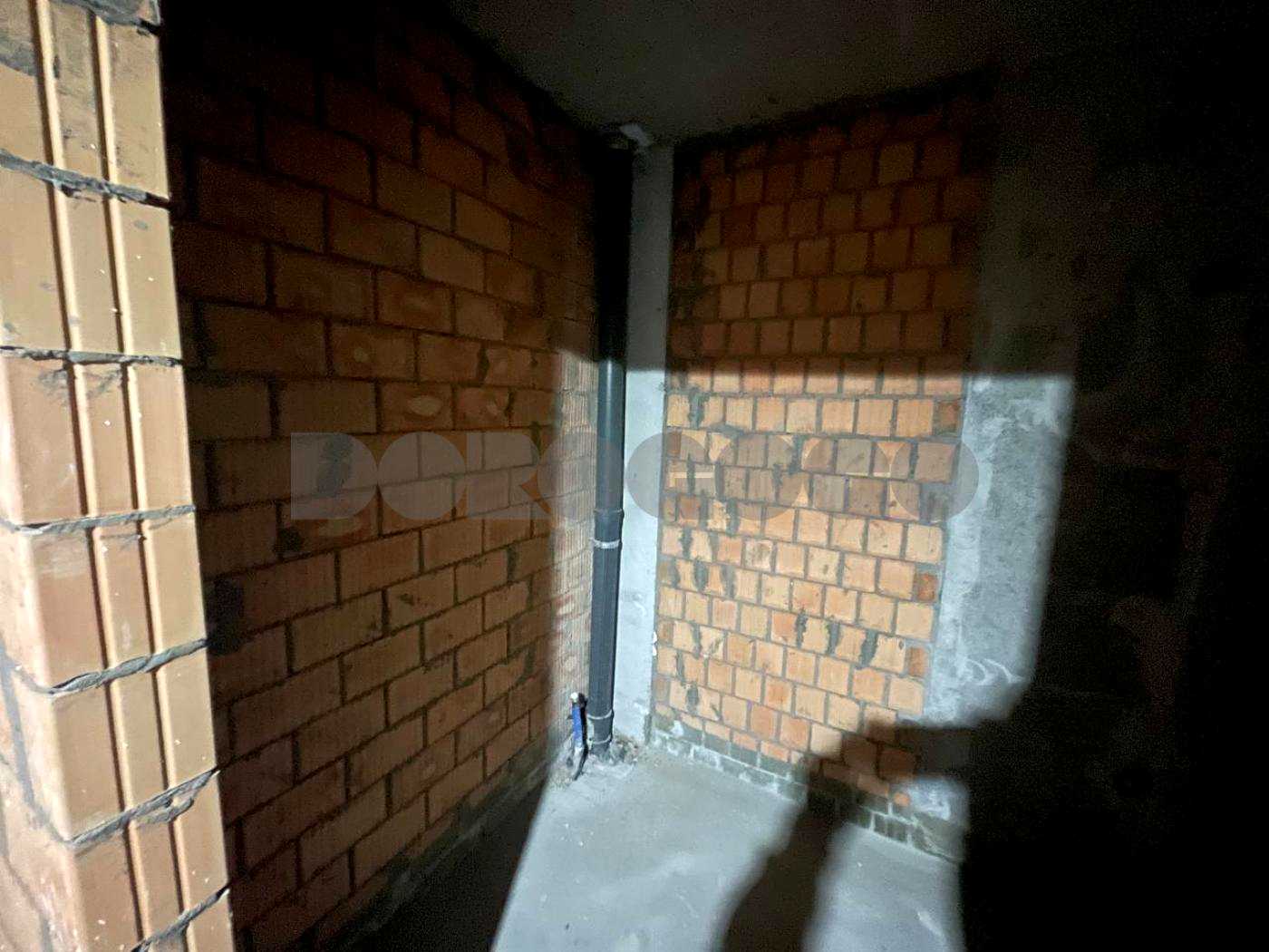 1879765331376236