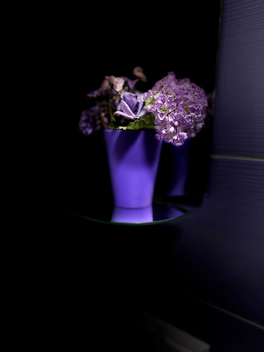 1879819093017583